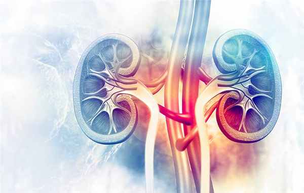 Пиелонефрит