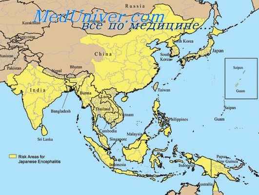 японский энцефалит