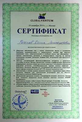 Сертификат 8