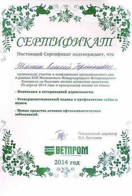 Сертификат 1