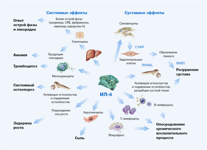 Изображений 3