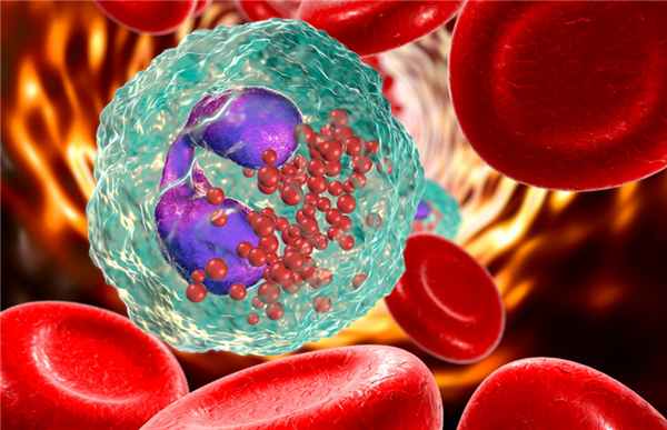 Фото: Shutterstock