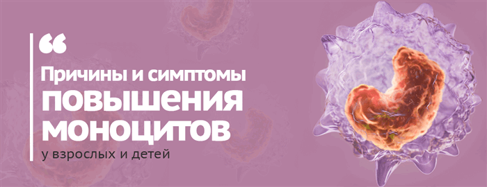 Причины и симптомы повышения моноцитов у взрослых и детей