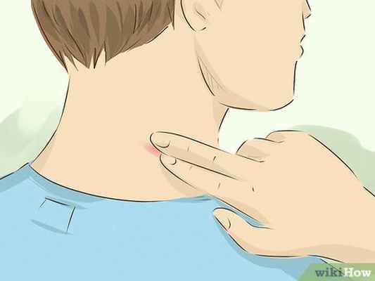 Изображение с названием Hide a Hickey Step 16