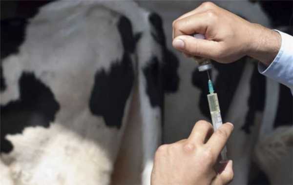 Лечение актиномикоза