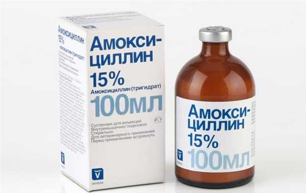 Амоксициллин