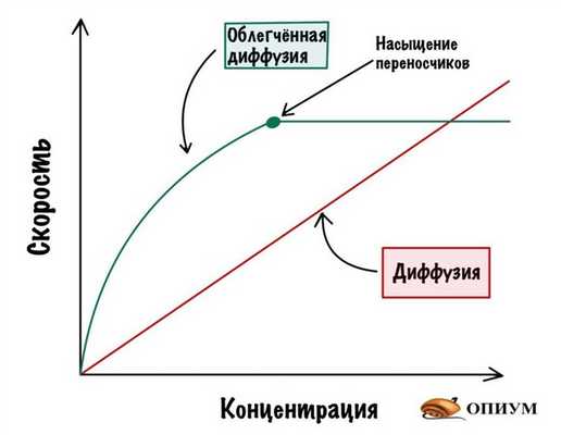 Пассивный транспорт. Сравнение скорости диффузии и облегченной диффузии