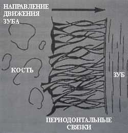 ортодонтия