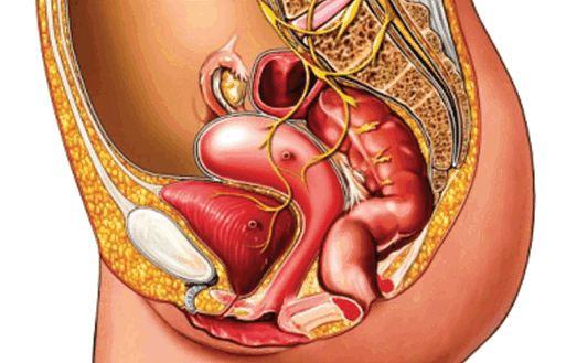 подготовка к вагинопластике
