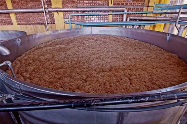 Анаэробное дыхание бактерий