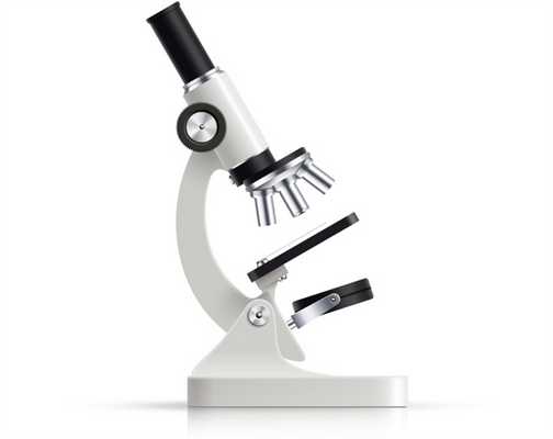 исследование днк