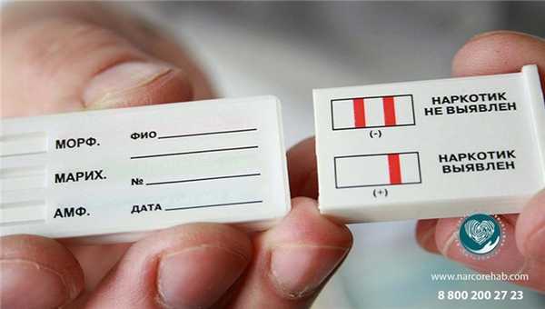 тесты полоски