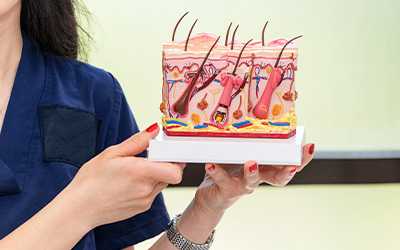 Волосяная луковица - Салерно