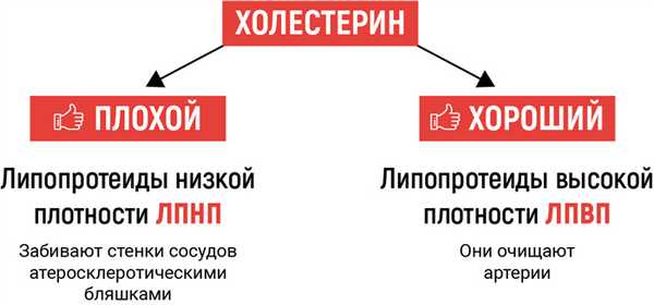 Холестерин.jpg