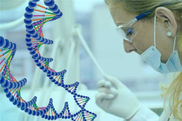 Генетическое тестирование плода после выкидыша