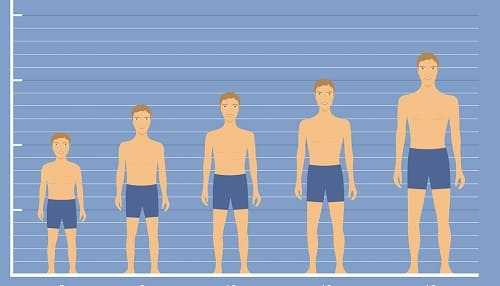 Рост человека от ребенка до подростка