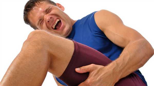 строение мышц бедра заболевания