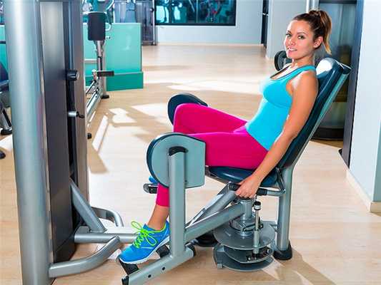 приводящие мышцы бедра анатомия