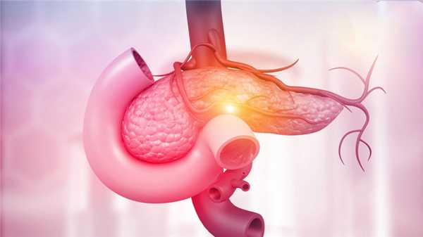 Двенадцатиперстная кишка человека