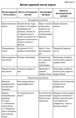 ветви грудной части аорты