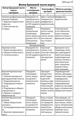 ветви брюшной части аорты