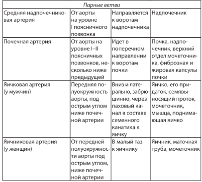 ветви брюшной части аорты
