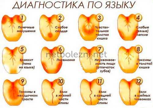 Проявление различных заболеваний