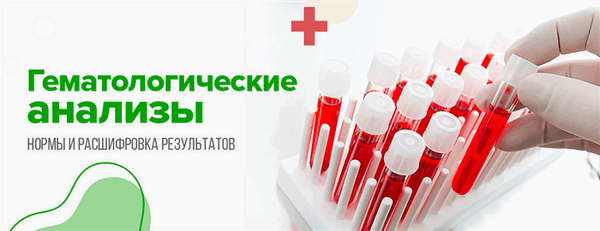 Общий анализ крови: нормы и расшифровка результатов