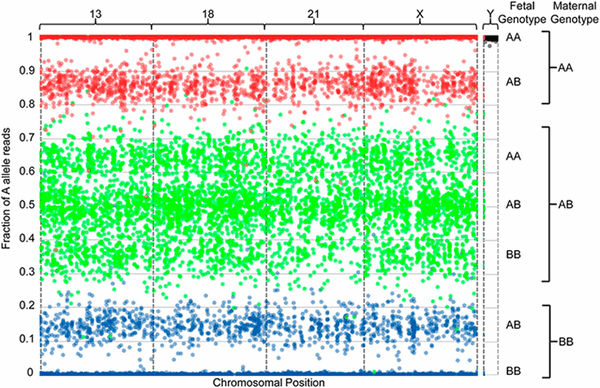 Визуализация результатов секвенирования внеклеточной ДНК плазмы крови беременной женщины