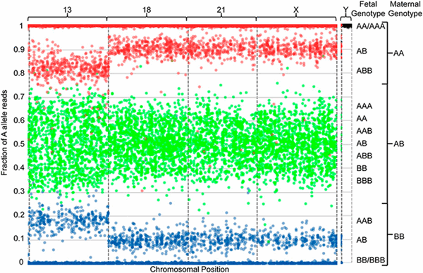Визуализация результатов секвенирования внеклеточной ДНК плазмы крови беременной женщины