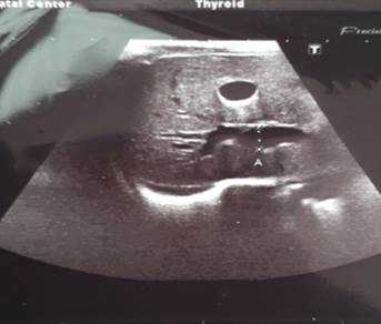 Изображение выглядит как текст, монитор, внутренний, электроника Автоматически созданное описание