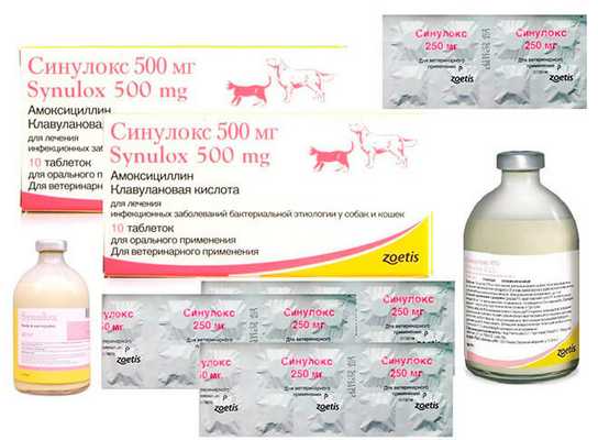 Синулокс для кошек и собак