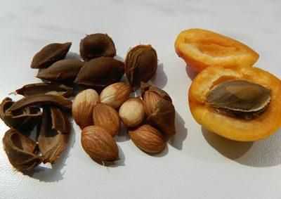 Абрикос с косточками