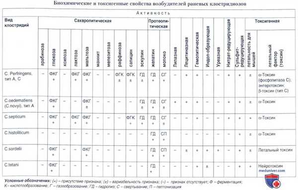 Микробиологическая диагностика возбудителя столбняка (C. tetani)