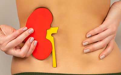 Нагрузка на почки - Салерно