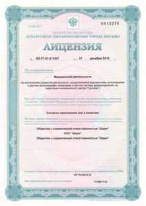 Лицензия 1 стр