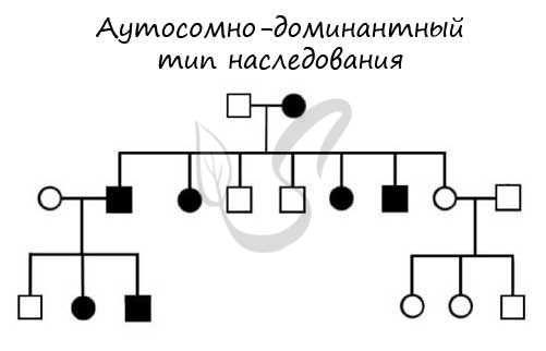 Аутосомно-доминантный тип наследования