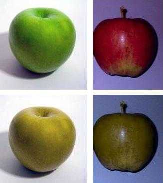 типы наследования признаков у человека