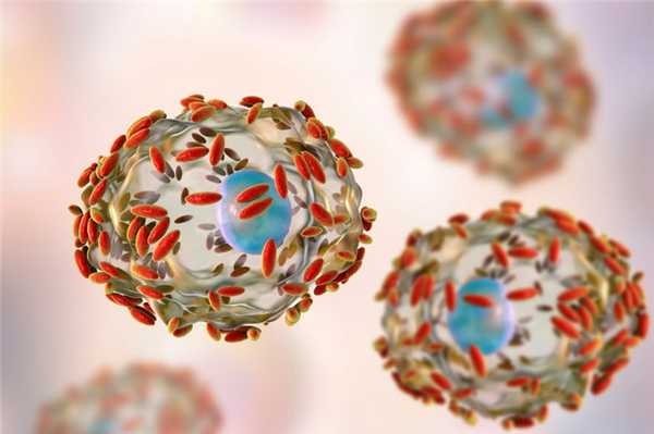 Бактериальный вагиноз