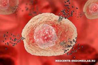 Белковые фракции