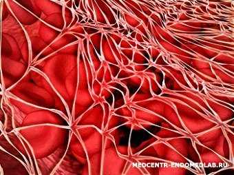 Биохимический анализ крови: общий белок - норма и отклонения 