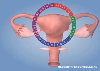 Лечение бесплодия