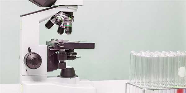 depositphotos_110962476_original