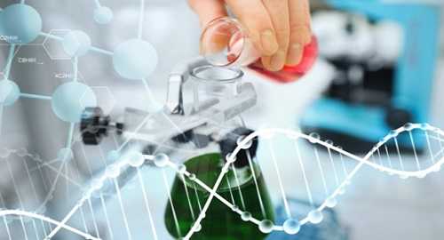 определение биотехнологии: Биотехнология - это термин, который используется для демонстрации использования системной биологии, направленной на производство продукта, соответствующего человеческому желанию.