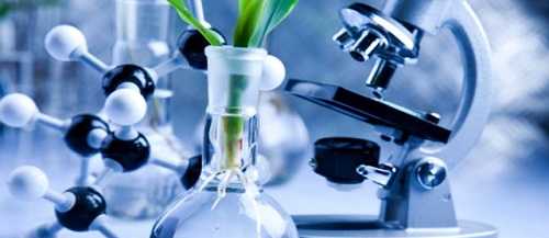 определение биотехнологии