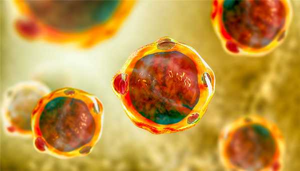 Бластоцитоз