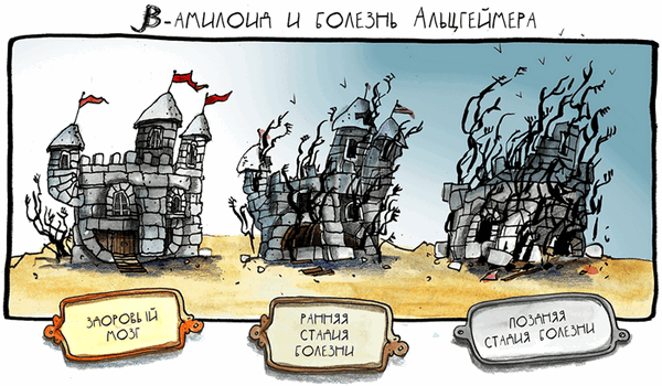 β-амилоид и болезнь Альцгеймера