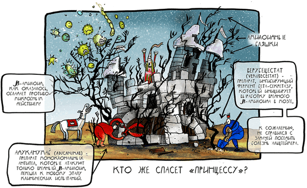 Кто спасёт принцессу