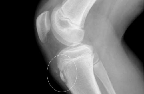 Диагностика