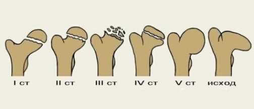 Диагностика